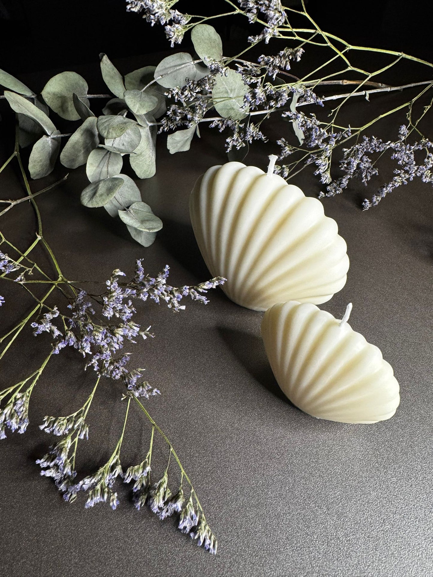 Shell Candles