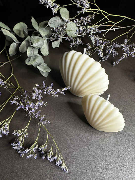 Shell Candles